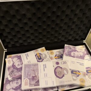 PAPER CHASE - Image 5